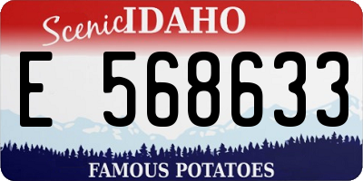 ID license plate E568633