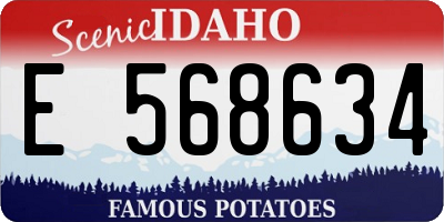 ID license plate E568634