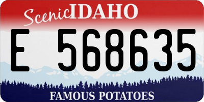 ID license plate E568635