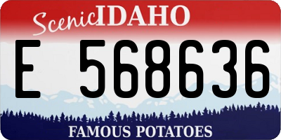 ID license plate E568636