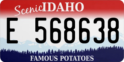 ID license plate E568638