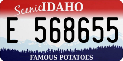 ID license plate E568655