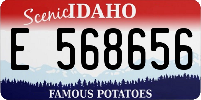 ID license plate E568656
