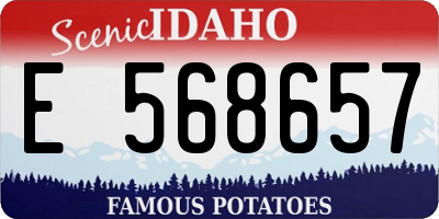 ID license plate E568657