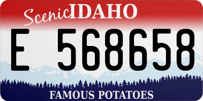 ID license plate E568658
