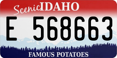 ID license plate E568663
