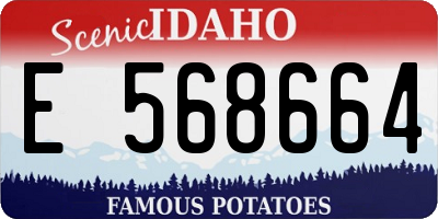 ID license plate E568664