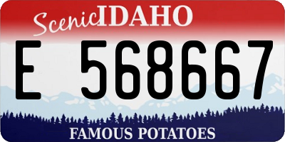 ID license plate E568667