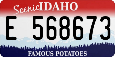 ID license plate E568673