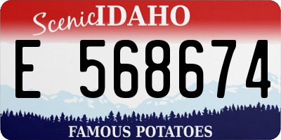 ID license plate E568674