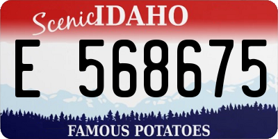 ID license plate E568675