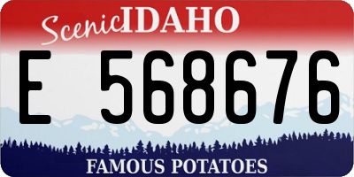 ID license plate E568676