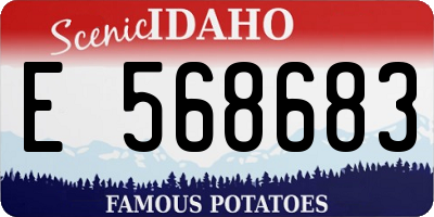ID license plate E568683
