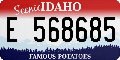 ID license plate E568685