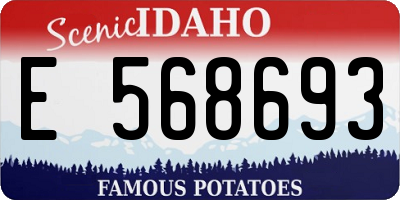 ID license plate E568693
