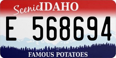 ID license plate E568694
