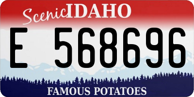 ID license plate E568696