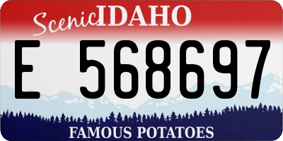 ID license plate E568697