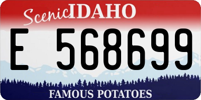 ID license plate E568699