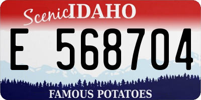 ID license plate E568704
