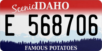ID license plate E568706