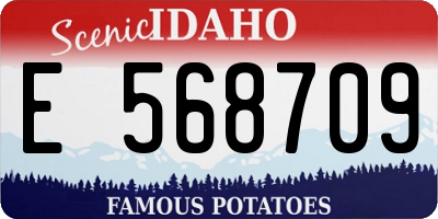 ID license plate E568709