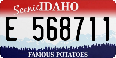 ID license plate E568711