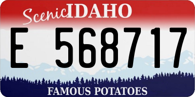 ID license plate E568717