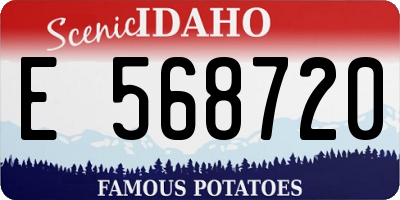 ID license plate E568720