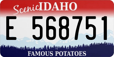 ID license plate E568751