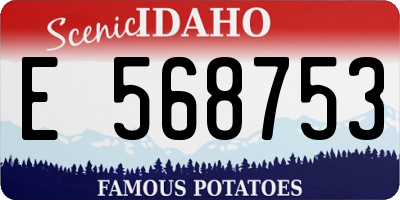 ID license plate E568753