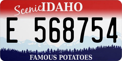ID license plate E568754