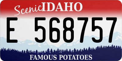 ID license plate E568757