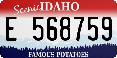 ID license plate E568759