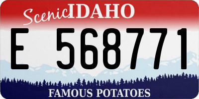ID license plate E568771