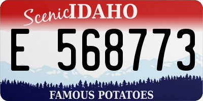 ID license plate E568773