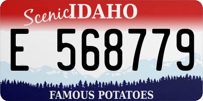 ID license plate E568779