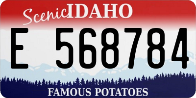 ID license plate E568784