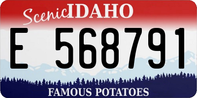 ID license plate E568791