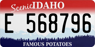 ID license plate E568796
