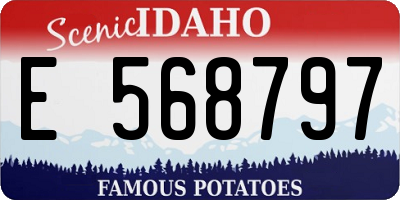 ID license plate E568797