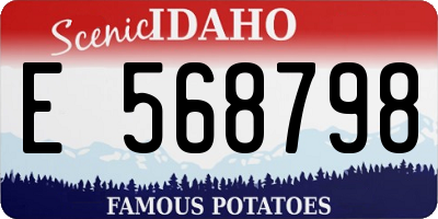 ID license plate E568798