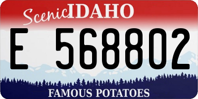ID license plate E568802