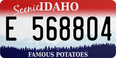 ID license plate E568804