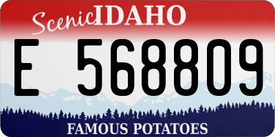 ID license plate E568809