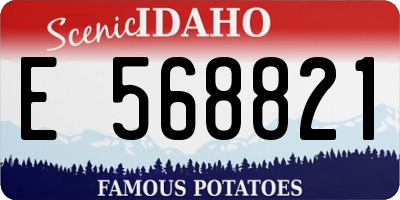 ID license plate E568821