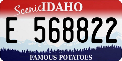 ID license plate E568822