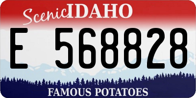ID license plate E568828