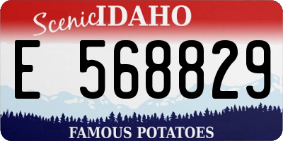 ID license plate E568829