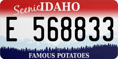 ID license plate E568833